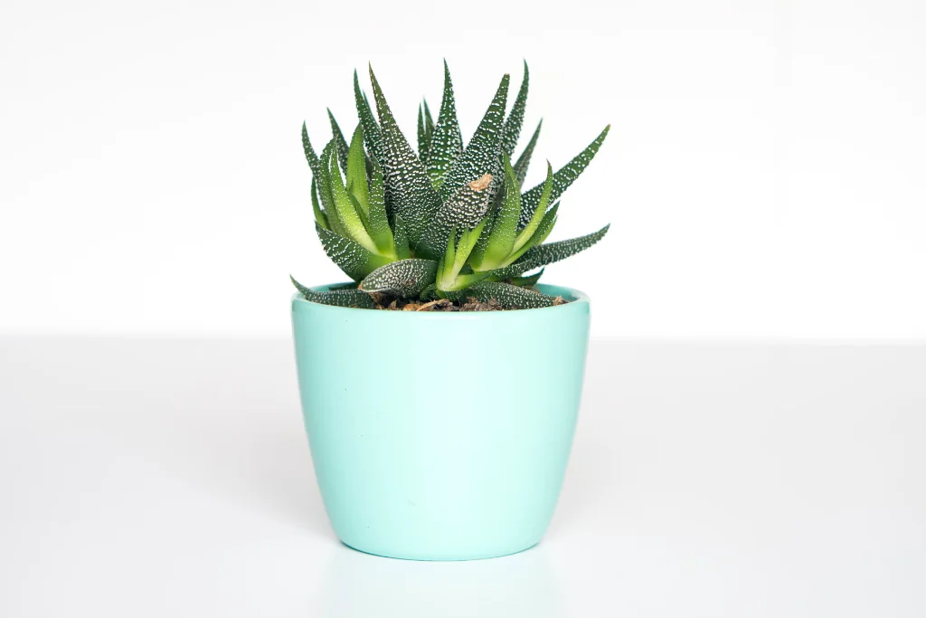 تصویر نمونه‌کار