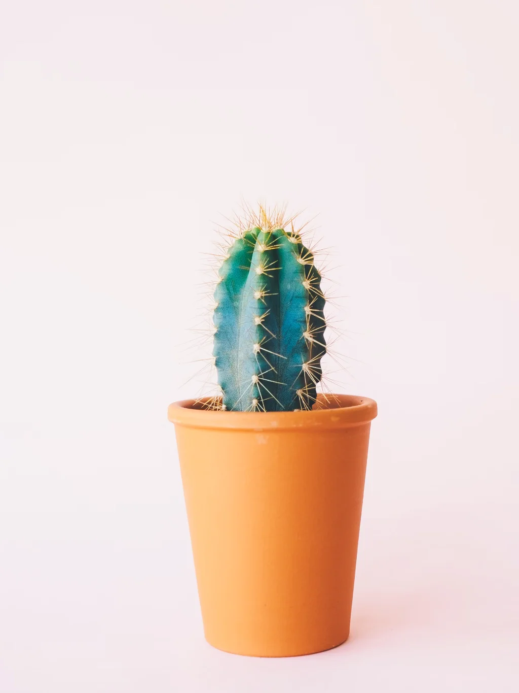 تصویر نمونه‌کار